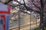 img0035.jpg