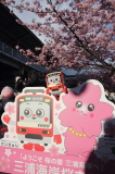 img0043.jpg