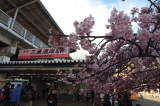 img0045.jpg