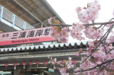 img0047.jpg