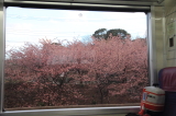img0049.jpg