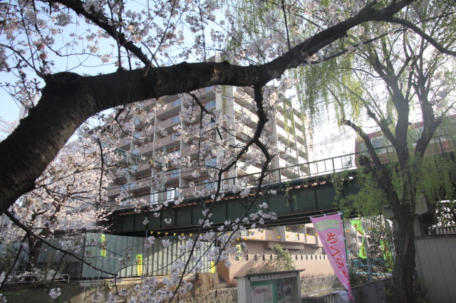 img0054.jpg